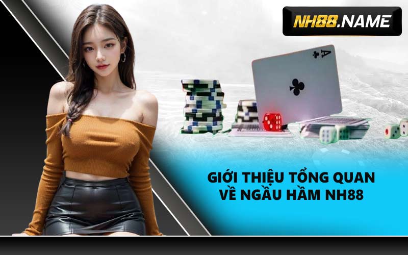 Giới thiệu tổng quan về Ngầu Hầm NH88